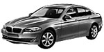 BMW F10 P1994 Fault Code